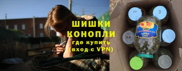 Альфа ПВП Осташков