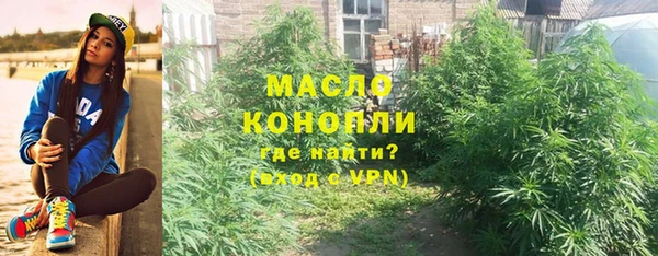 винт Пересвет