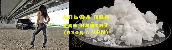 винт Пересвет