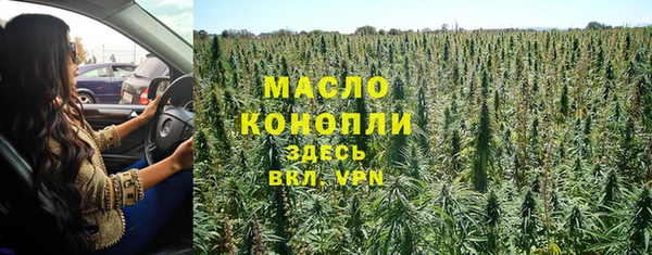 винт Пересвет