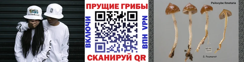 Галлюциногенные грибы мухоморы  наркотики  Бердск 