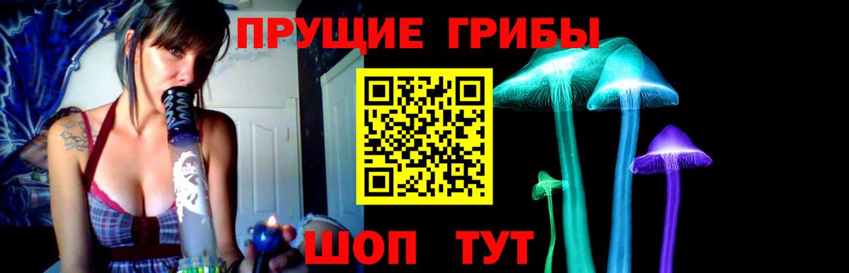 Галлюциногенные грибы мицелий  Вход с VPN  Галлюциногенные грибы мицелий  Бердск 